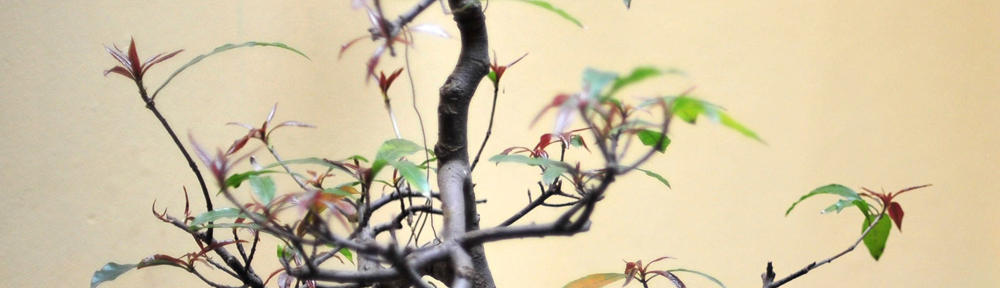 上福岡鍼灸整骨院の投稿ページ